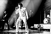 "Elvis" 27.04. Bilder