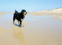 Bild#28(027.jpg)