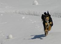 Bild#34(033.jpg)