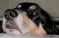 Bild#36(035.jpg)