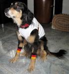 Bild#39(038.jpg)
