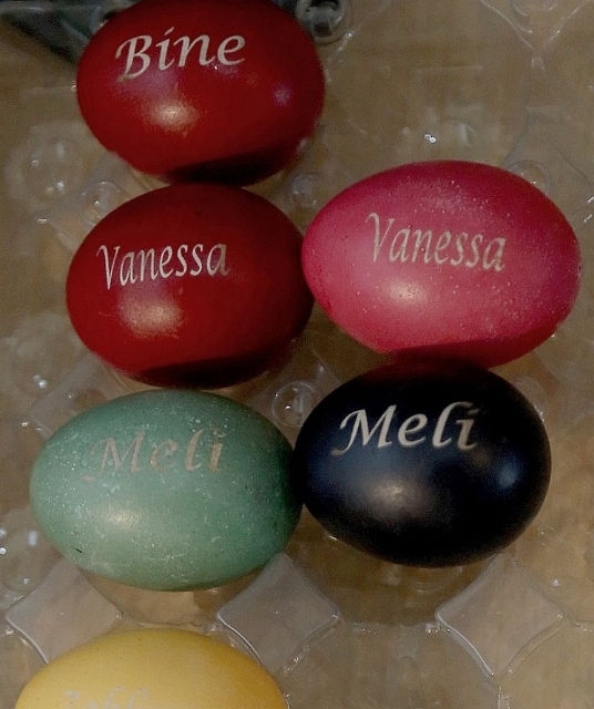 Eier