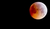 Blutmond 21.01. Bilder