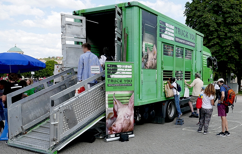 "Truck you" Bericht (hier klicken 
