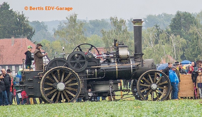 Welt Plüger Meisterschaft 02.09 Bilder (hier klicken)