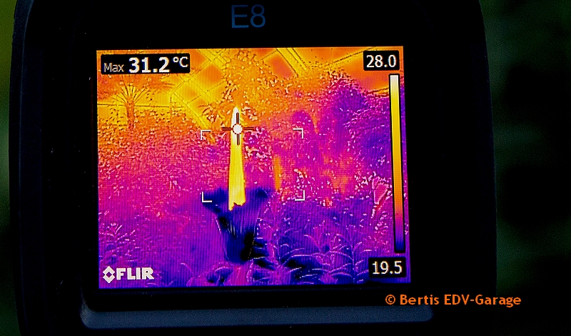 Titanwurzblüte 09.09. Bericht (hier klicken)