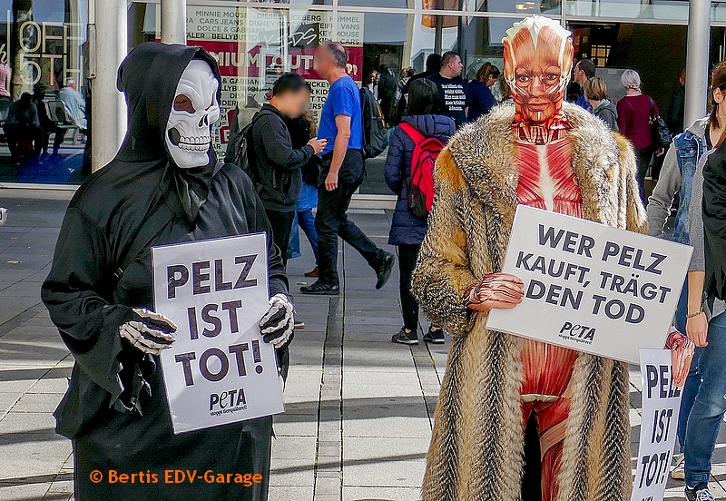Stuttgart pelzfrei 29.09. Bilder (hier klicken)