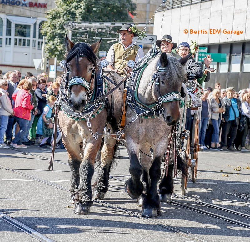 Volksfestumzug 30.09. Video (hier klicken)