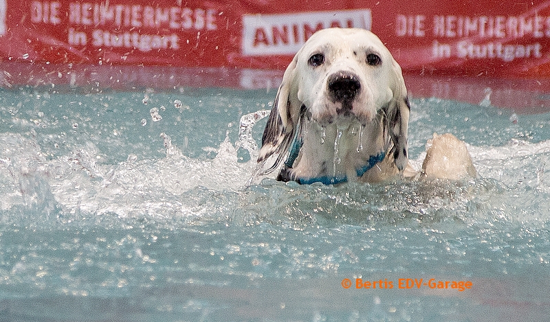 Water Jump 18.11. Bilder (hier klicken)